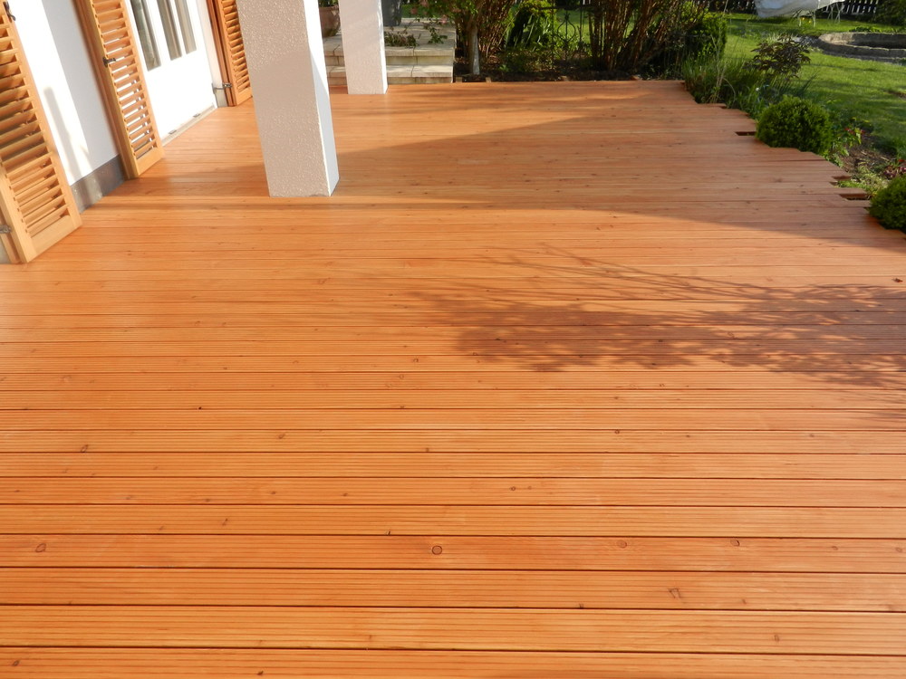 Bild konnte nicht geladen werden